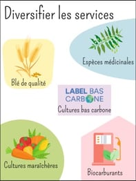 diversification-services-cooperatives-negoces-agrofournisseurs-cultures-agricoles