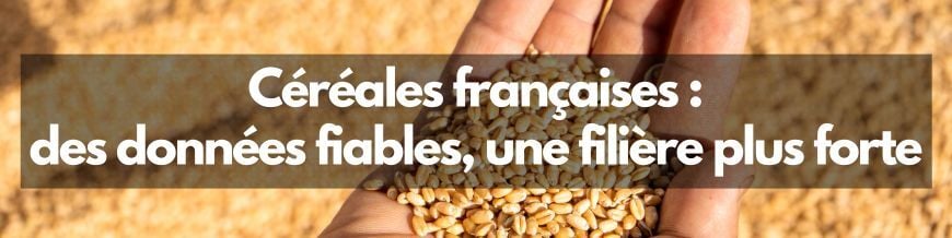 cereales-francaises-donnees-fiables-filiere-plus-forte-psf-2025-plan-de-surveillance-filiere-securite-sanitaire-qualite-agriculture