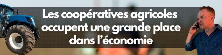 role-central-dans-l-economie-des-cooperatives-agricoles