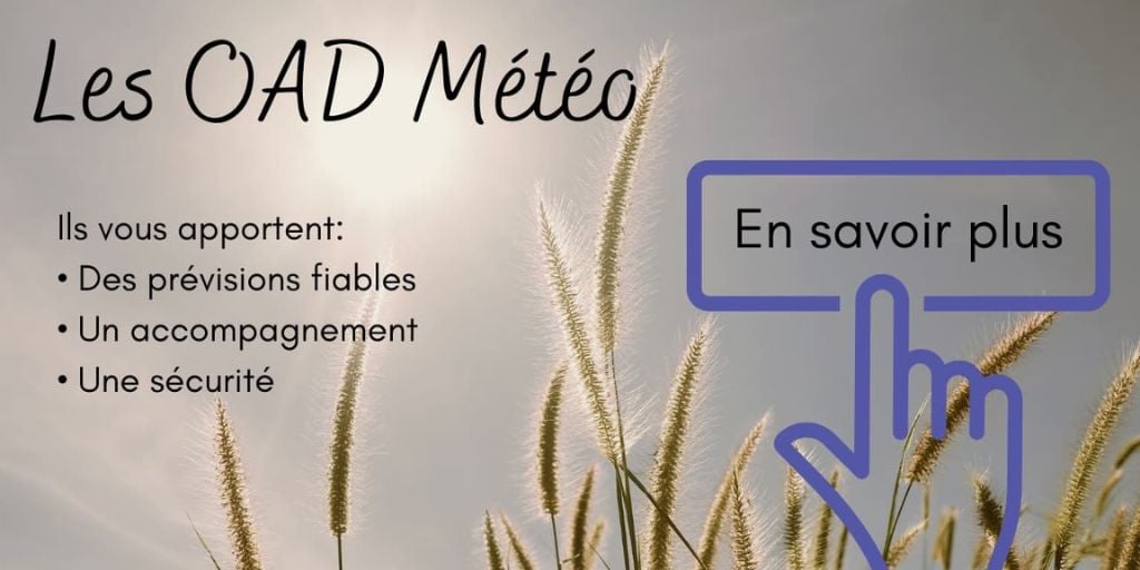 oad-meteo