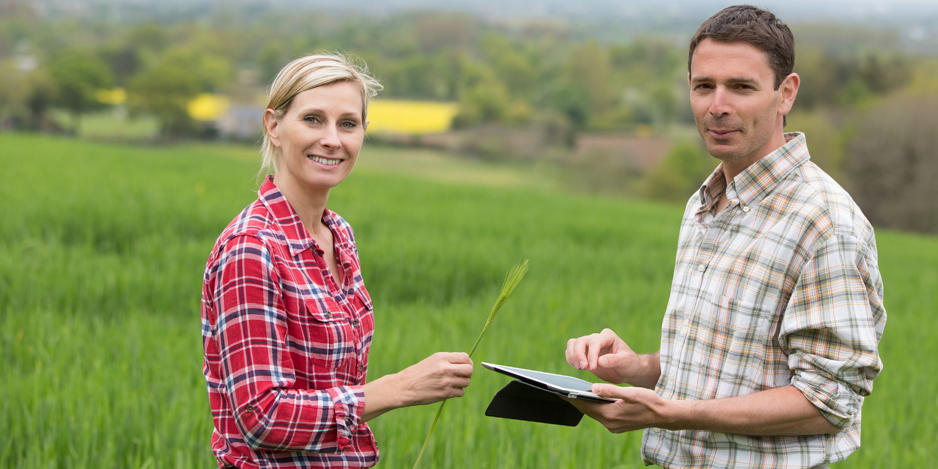 Qu’est-ce qui fait de vous un bon TC auprès des agriculteurs ?
