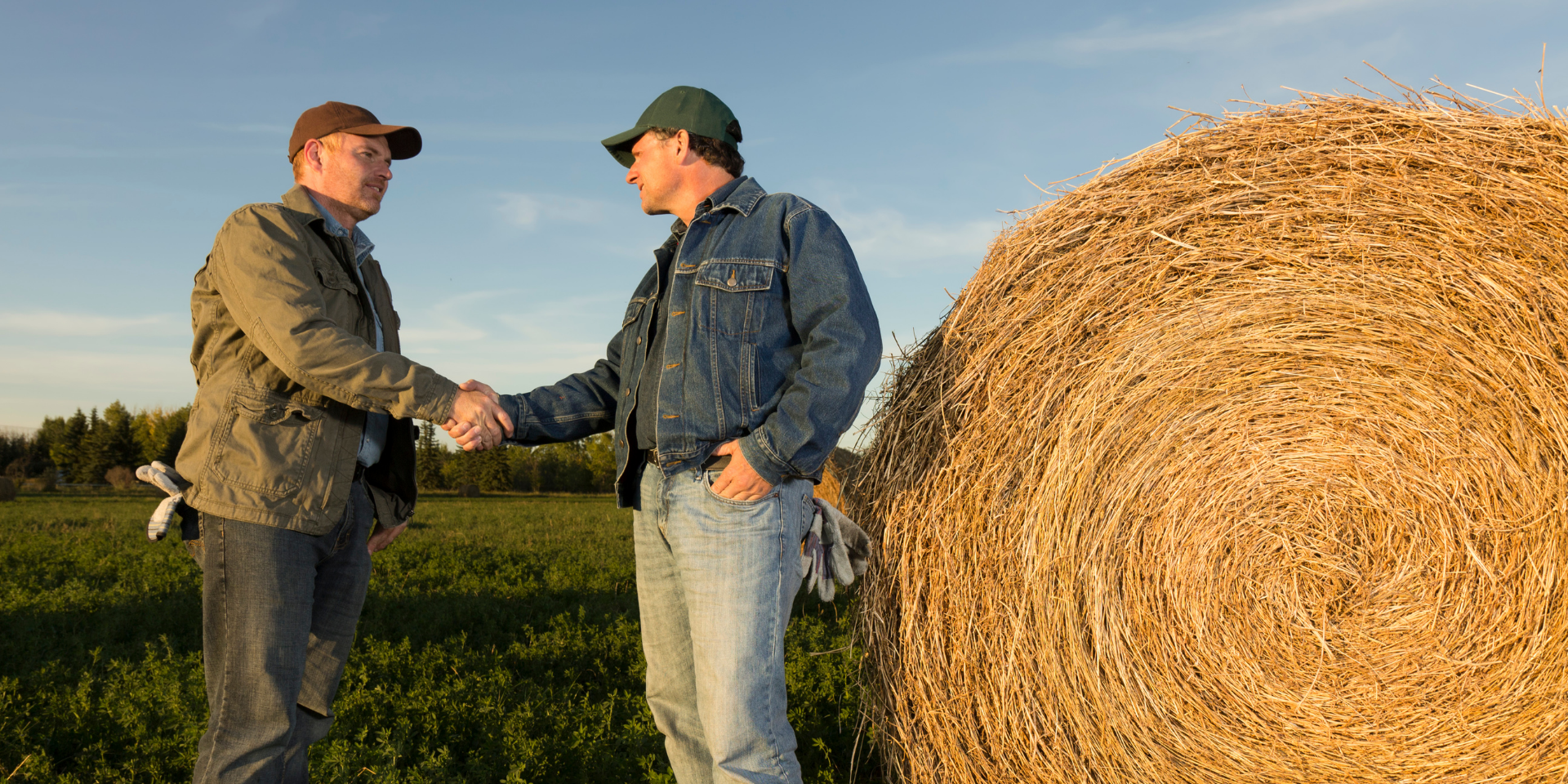 conseil-pour-renforcer-la-proximite-adhérents-clients-agriculteurs
